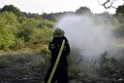 Waldbrand Koeln Hoehenhaus Hoehenfelder Mauspfad P071